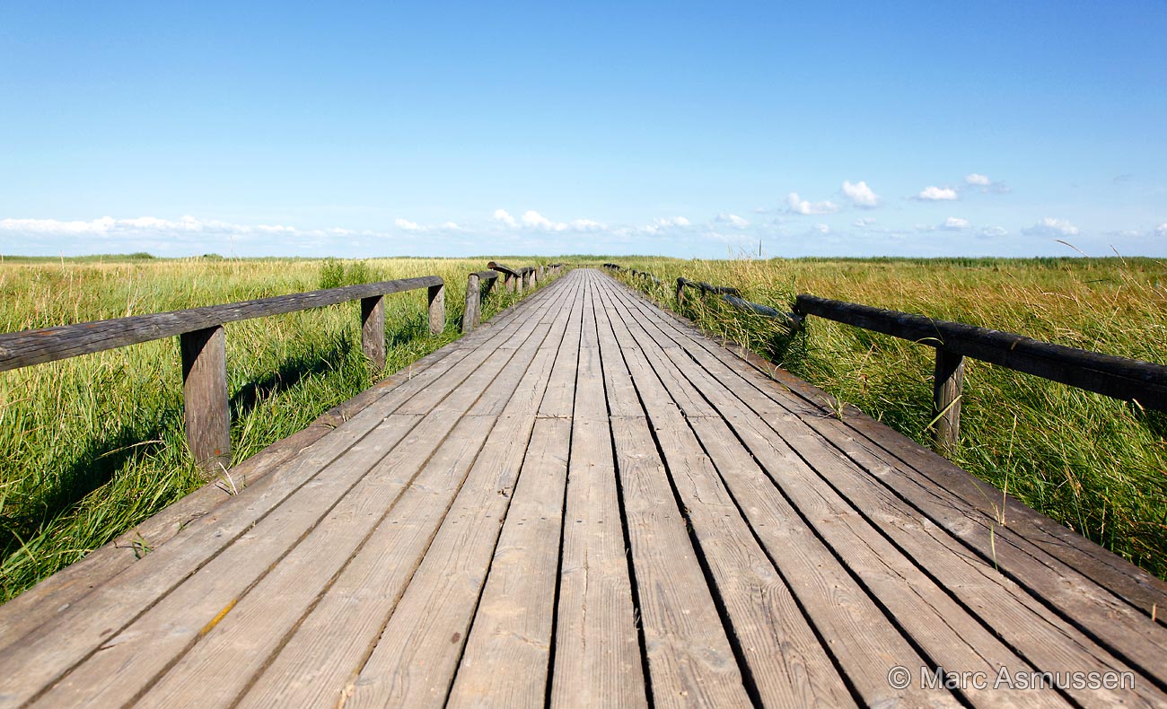 Holzbohlenweg Sylt