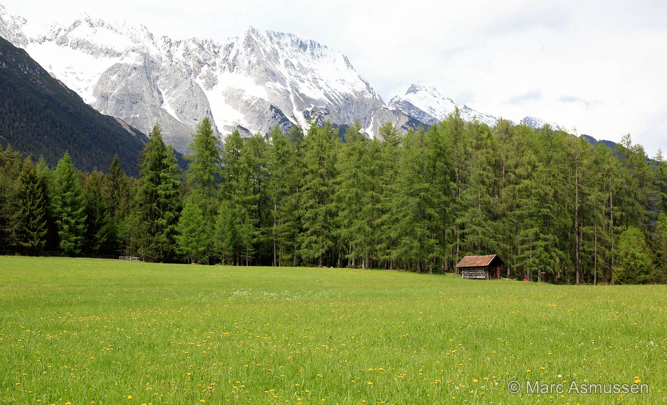 Alpen beim Mieminger Plateau