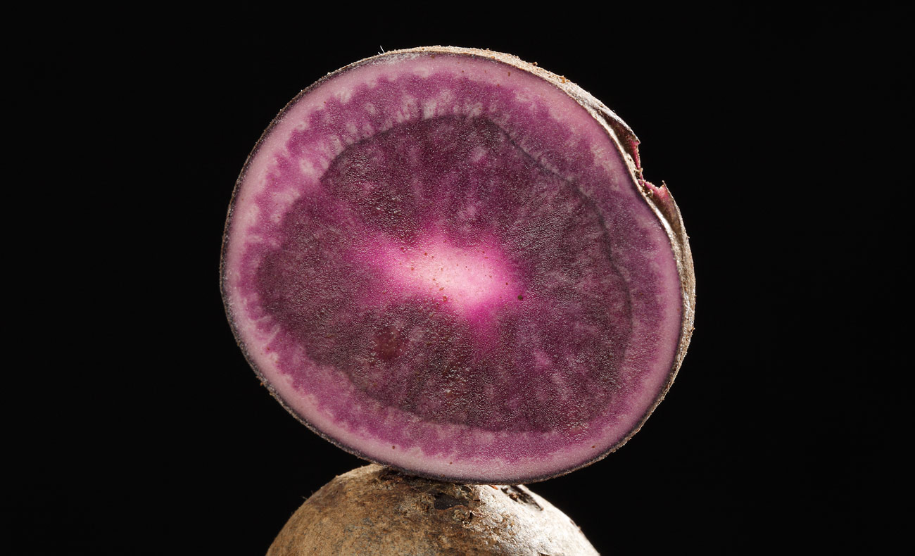 Produktfotografie Kartoffel