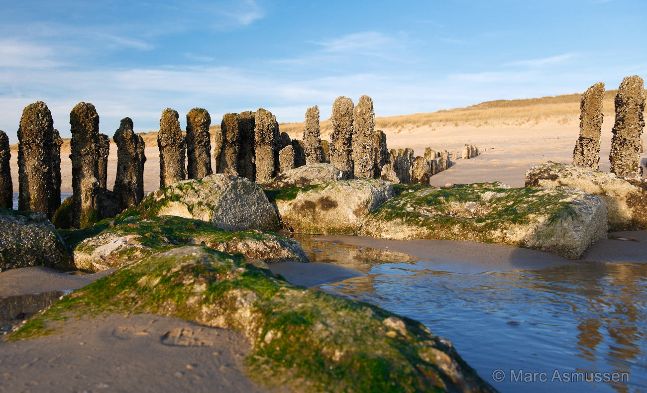 Holzpfahl-Buhnen Rantum Sylt