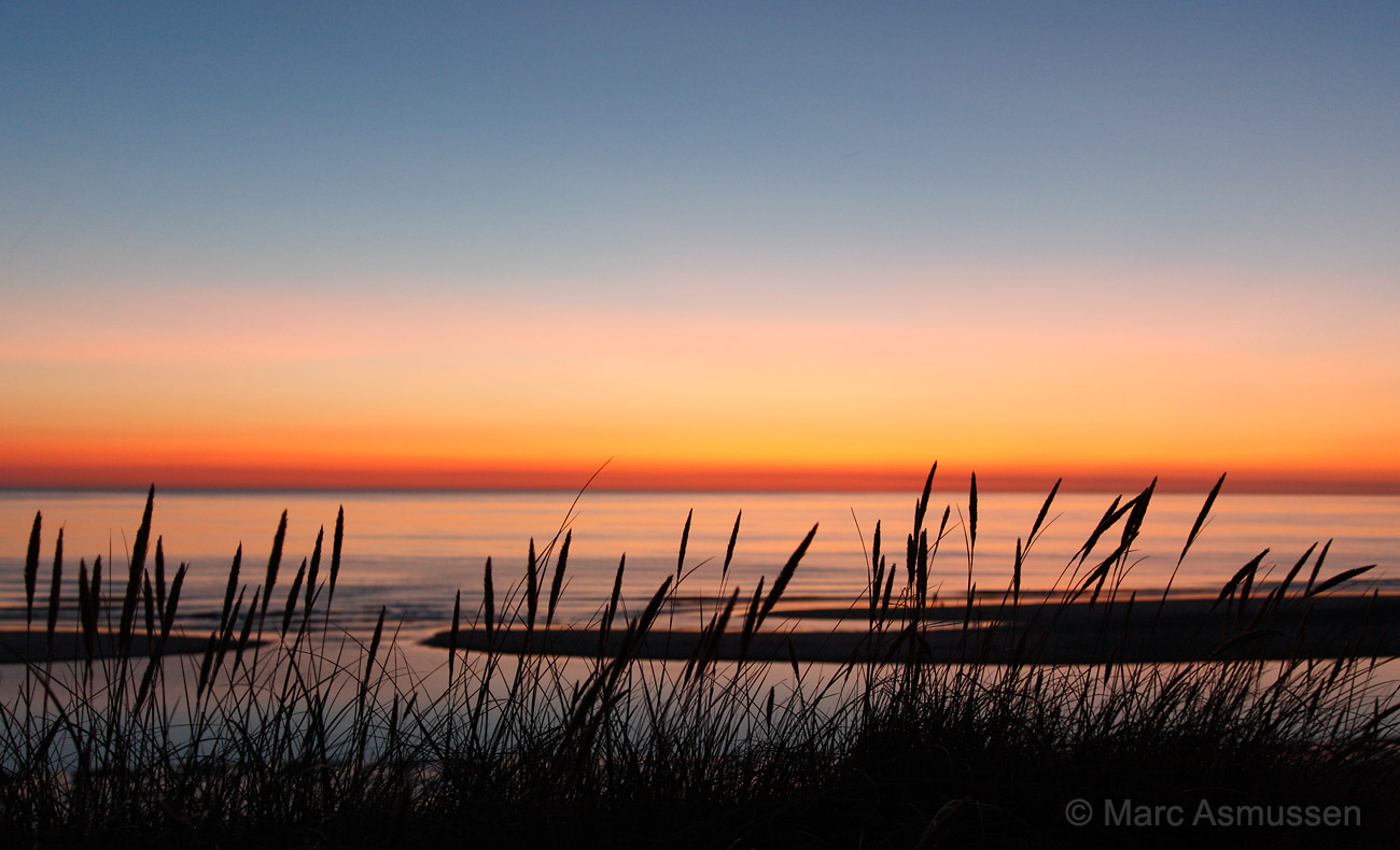 Graeser vorm Sonnenuntergang